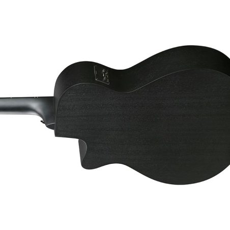 Ibanez AEG621-BOT Black Out