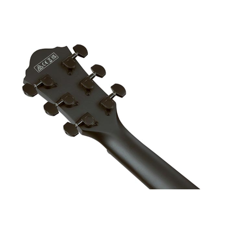 Ibanez AEG621-BOT Black Out