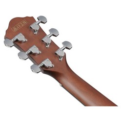 Ibanez AEWC16QA-TEH Transparent Emerald Burst