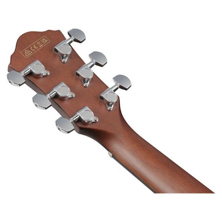 Ibanez AEWC16QA-TEH Transparent Emerald Burst