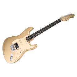 Mooer MSC10 Elite Gold