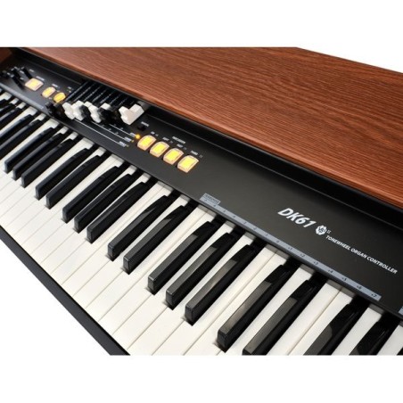 Dk61