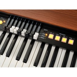 Dk61