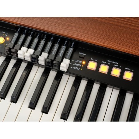 Dk61