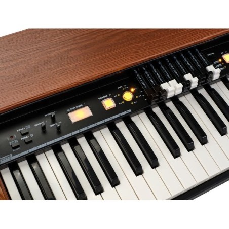 Dk61
