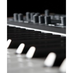 Dk61