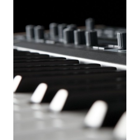 Dk61