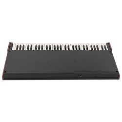 Crumar Mojo 61B Lower Manual