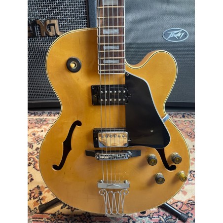 Ibanez FG100 Natural (USATO)