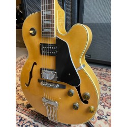 Ibanez FG100 Natural (USATO)