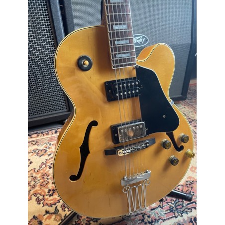 Ibanez FG100 Natural (USATO)