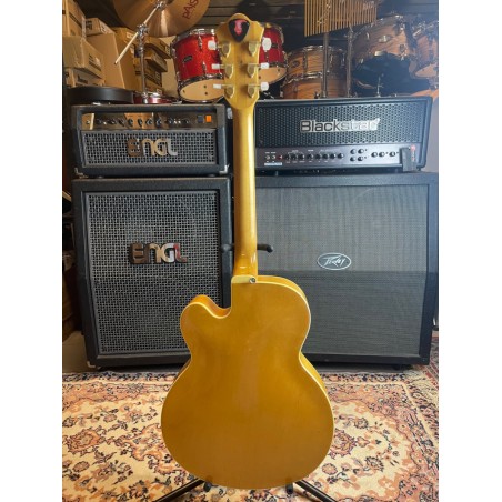 Ibanez FG100 Natural (USATO)