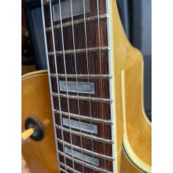 Ibanez FG100 Natural (USATO)