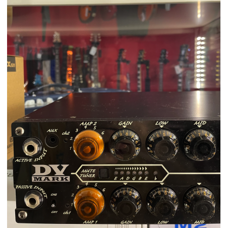 DV Mark EVO1 Testata per chitarra (USATO)