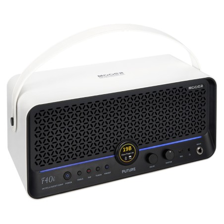 Mooer f40i snowfall w