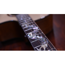 Crafter DG G-1000CE