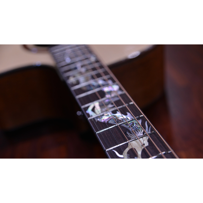 Crafter DG G-1000CE