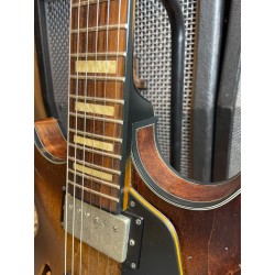 Ibanez AMV10A (USATO)