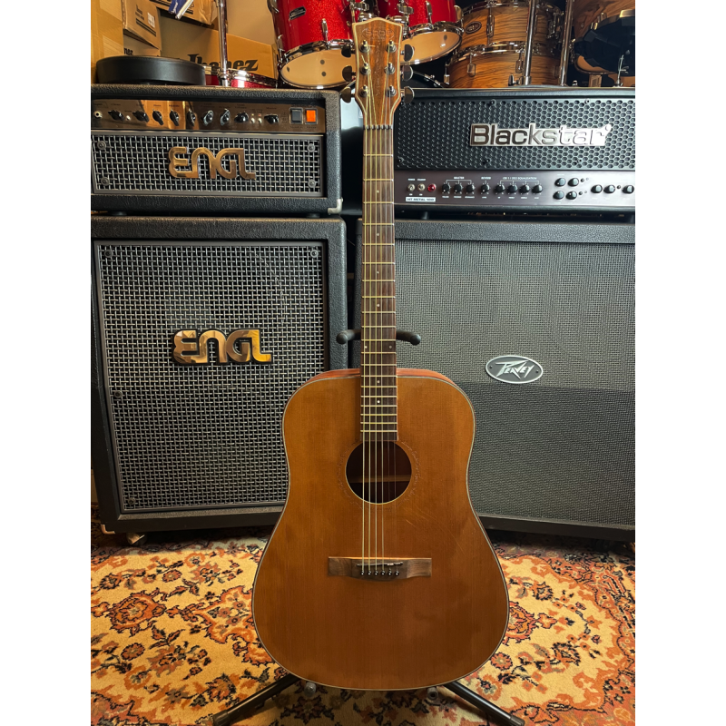 SQOE Chitarra Acustica Non Amplificata (USATO)
