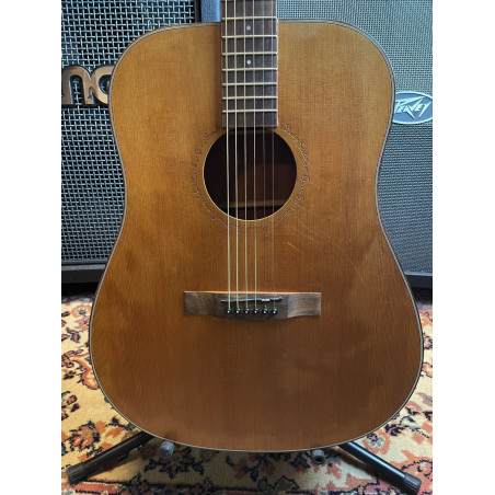 SQOE Chitarra Acustica Non Amplificata (USATO)