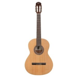 Josè Torres JTC-5S LH