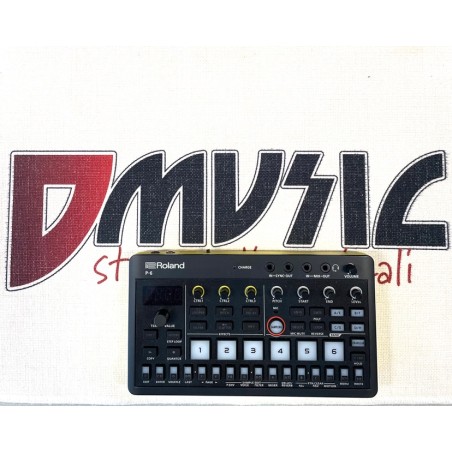 Roland P-6 Creative Sampler (USATO)