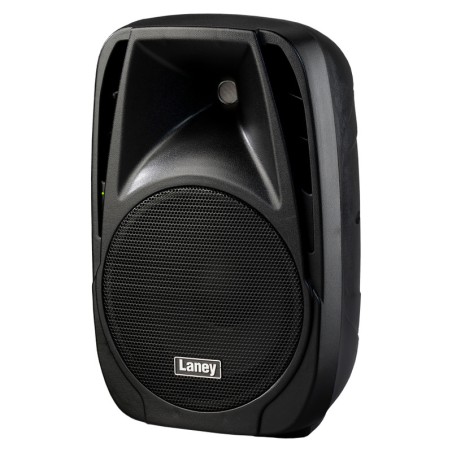 Laney AH110-G2