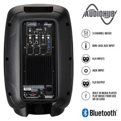 Laney AH110-G2