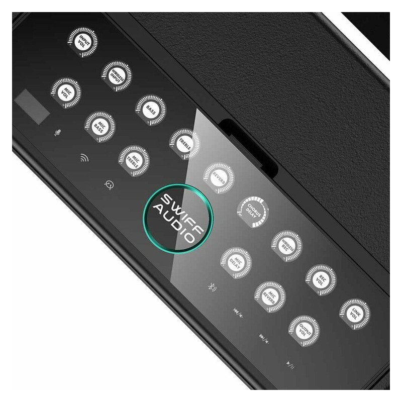 SWIFF AUDIO S-100
