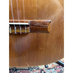 Giannini MPB Series GWNM1 (USATO)
