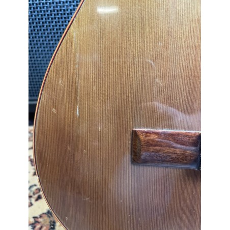 Giannini MPB Series GWNM1 (USATO)