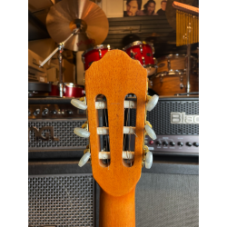 Giannini MPB Series GWNM1 (USATO)