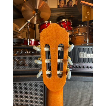 Giannini MPB Series GWNM1 (USATO)