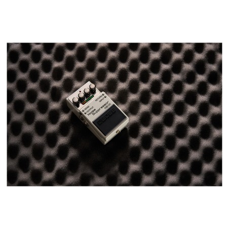 BOSS NS-1X
