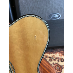Takamine GB30CENAT (USATO)