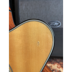 Takamine GB30CENAT (USATO)