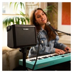 Roland CUBE Street MINI