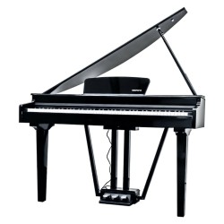 Echord gp-10b