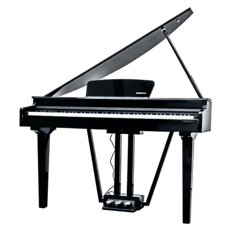 Echord gp-10b