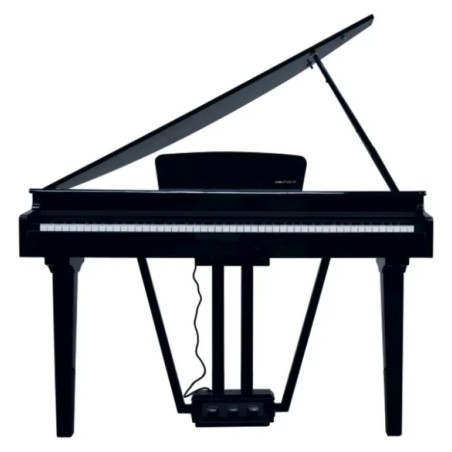 Echord gp-10b