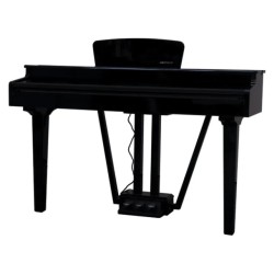 Echord gp-10b