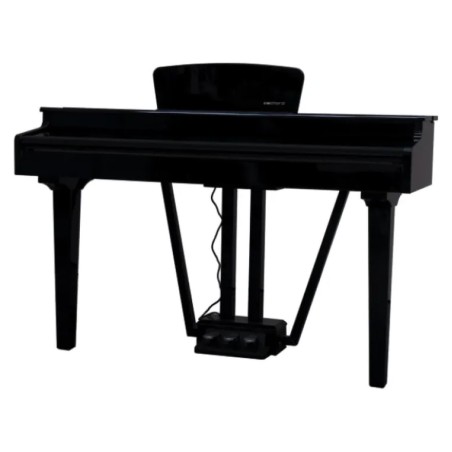 Echord gp-10b