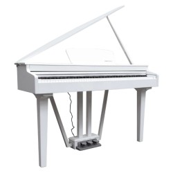 ECHORD GP10W Bianco