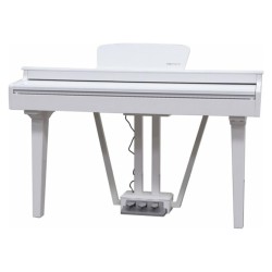 ECHORD GP10W Bianco