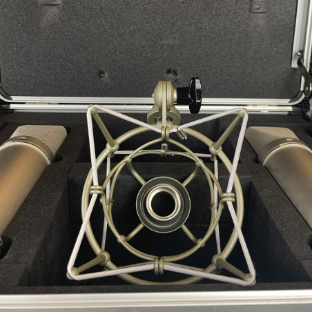 NEUMANN. BERLIN U 87 AI Stereo Set (USATO)