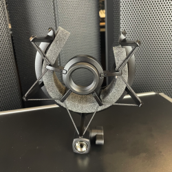 NEUMANN. BERLIN TLM 103 25 Years Edition (USATO)