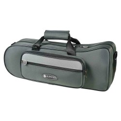Jupiter JTR500SQ Silver