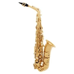 SML Paris Vsm a300 sax 300 contralto - 14600431
