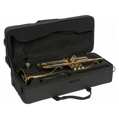 SML Paris Vsm tp300 tromba sib - 14600432