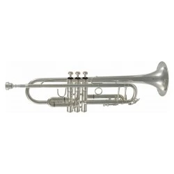 SML Paris Vsm tp500s tromba in si b débutant - 14600437